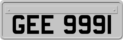 GEE9991