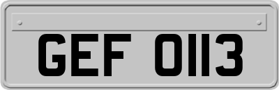 GEF0113