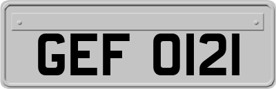 GEF0121