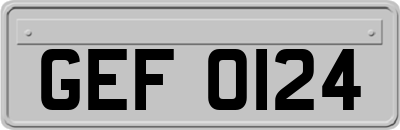 GEF0124