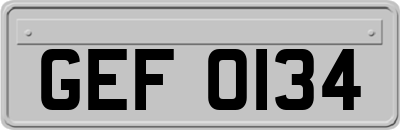 GEF0134