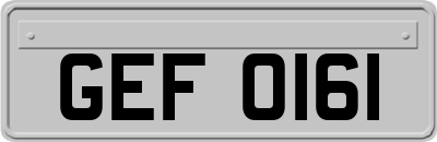 GEF0161