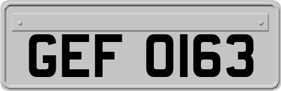 GEF0163