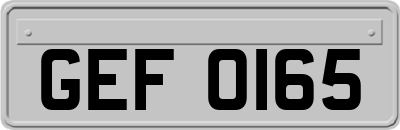 GEF0165