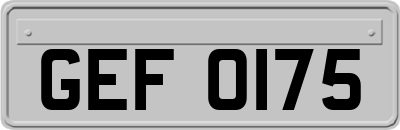GEF0175
