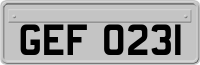 GEF0231