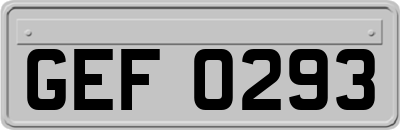 GEF0293