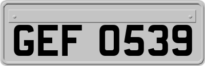 GEF0539