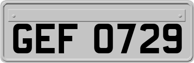 GEF0729