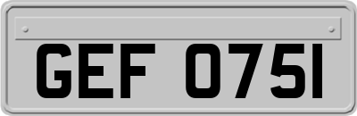 GEF0751