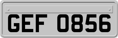 GEF0856