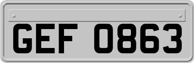 GEF0863