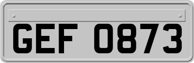 GEF0873