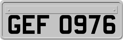 GEF0976