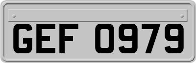 GEF0979