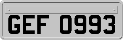 GEF0993