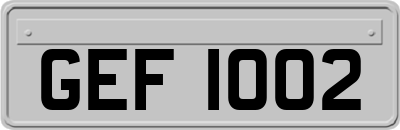 GEF1002
