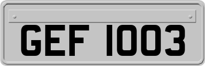 GEF1003
