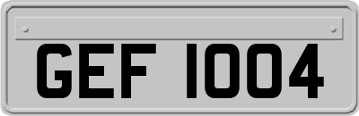 GEF1004