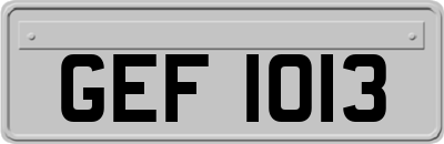 GEF1013