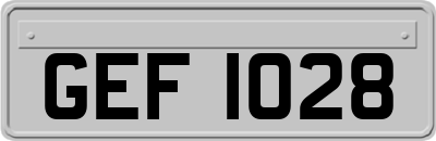 GEF1028