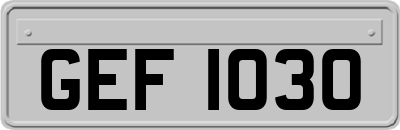 GEF1030