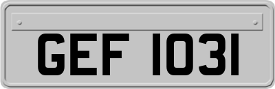 GEF1031