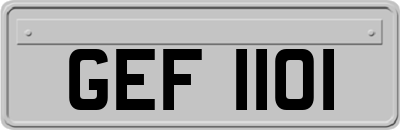 GEF1101