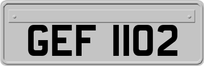 GEF1102
