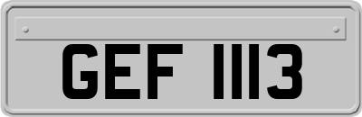 GEF1113