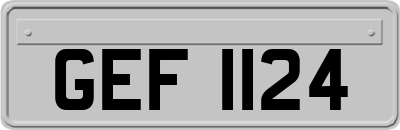GEF1124