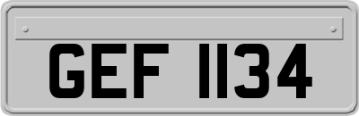 GEF1134