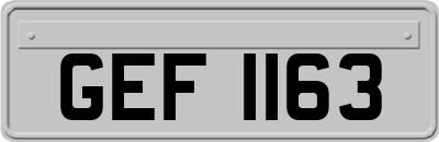 GEF1163