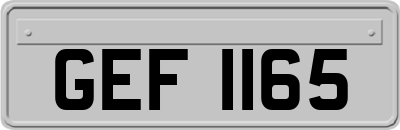 GEF1165