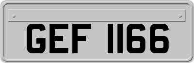 GEF1166