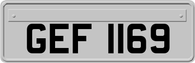 GEF1169