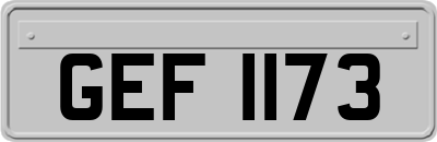 GEF1173