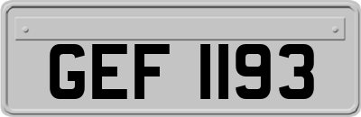GEF1193
