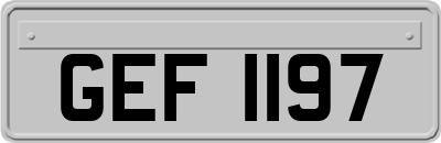 GEF1197