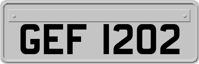 GEF1202
