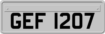 GEF1207