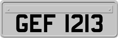 GEF1213