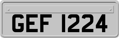 GEF1224