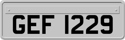 GEF1229
