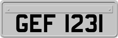 GEF1231