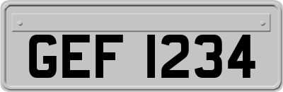 GEF1234