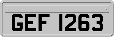 GEF1263