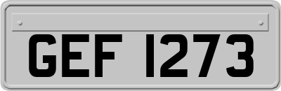 GEF1273