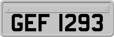GEF1293