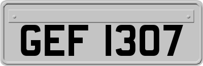GEF1307